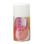 RECHARGE DESODOR KASSIA 250 ML RECHARGE DESODOR KASSIA 250 ML