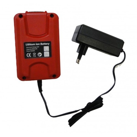 BATTERIE LITHIUM ION