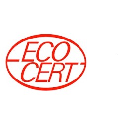 ECT LESSIVE