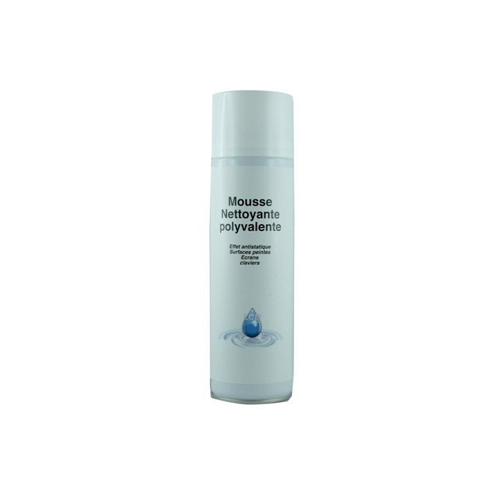 NETTOYANT MOUSSE POLYVALENTE