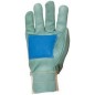 GANTS FORESTIER TT FLEUR VACHETTE VERT GANTS FORESTIER TT FLEUR VACHETTE VERT