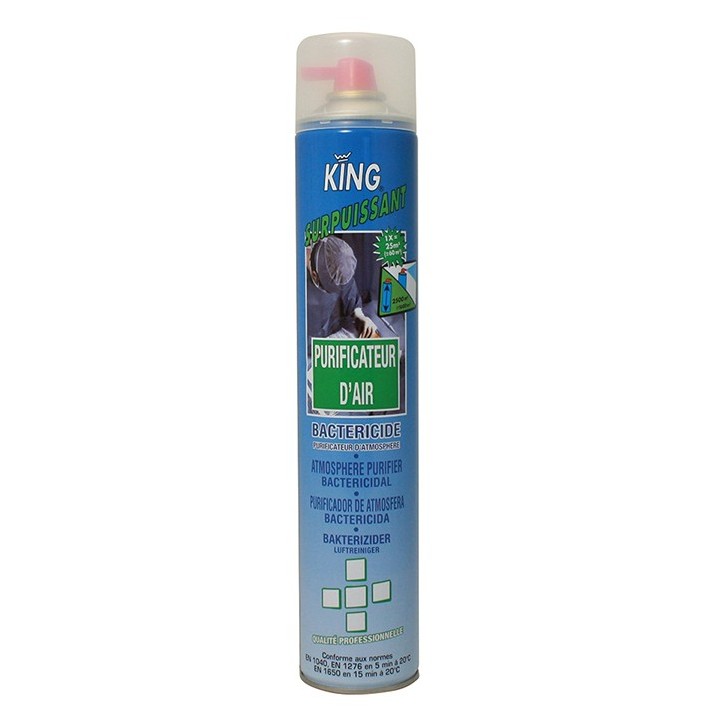 PURIFICATEUR D'AIR SURPUISSANT MENTHE 750ML