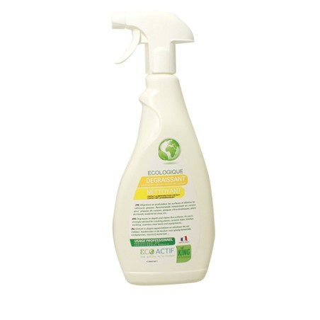 DEGRAISSANT NETTOYANT 750ML