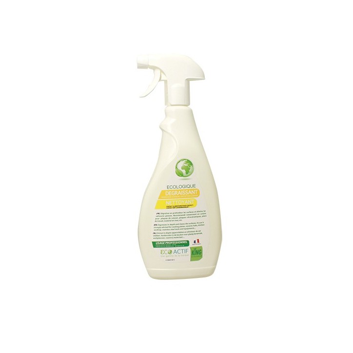 DEGRAISSANT NETTOYANT 750ML