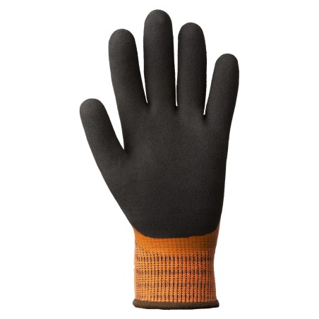 GANTS EUROWINTER L22