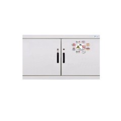 ARMOIRE DE SECURITE EN 14470-1 SERIE 7.60