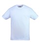 T-SHIRT TRIP