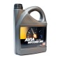 AVIA RECORD 365 15W 40
