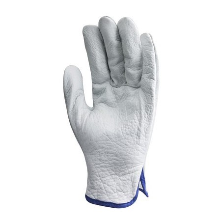 GANT MAITRISE STANDARD
