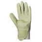 GANTS OLEO HYDROFUGES GANTS OLEO HYDROFUGES